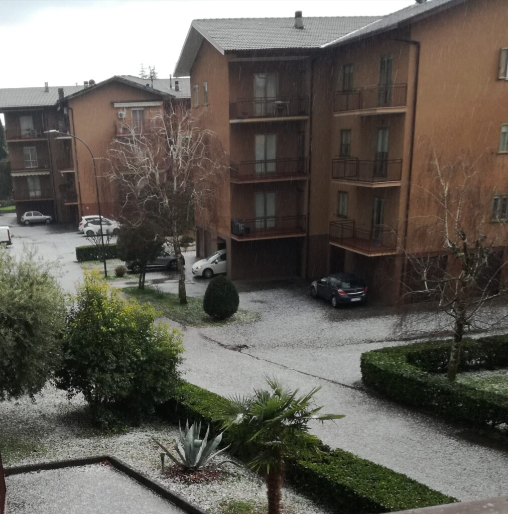 grandine erba