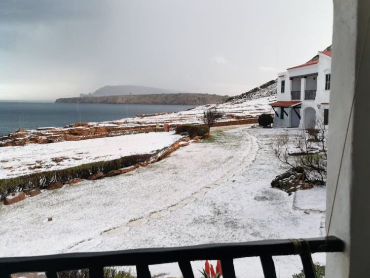 grandine minorca