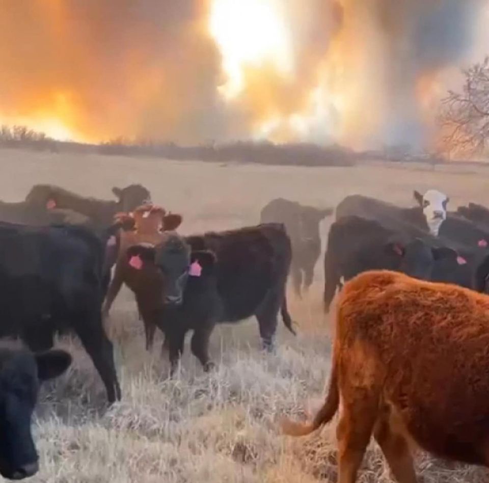 incendi texas