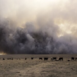 incendio Smokehouse Creek Fire texas