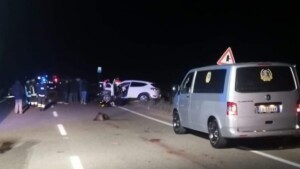incidente cinghiale