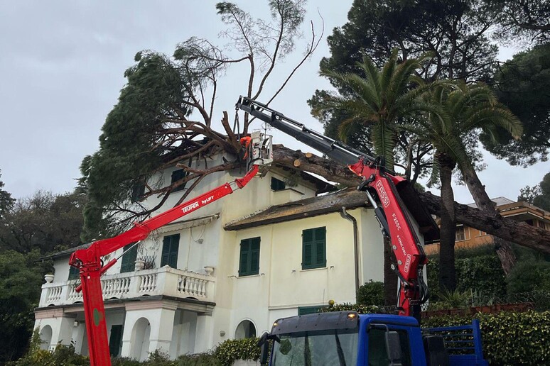 maltempo rapallo