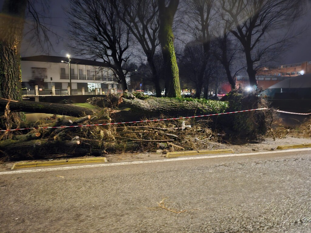 maltempo vicenza