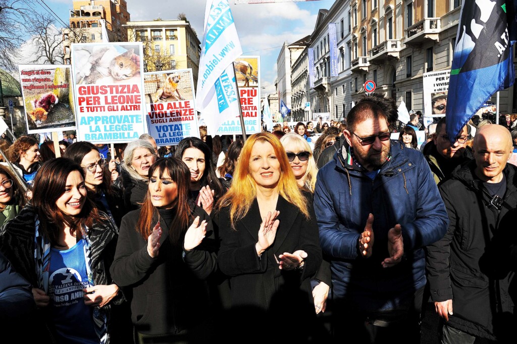 manifestazione legge violenza animali