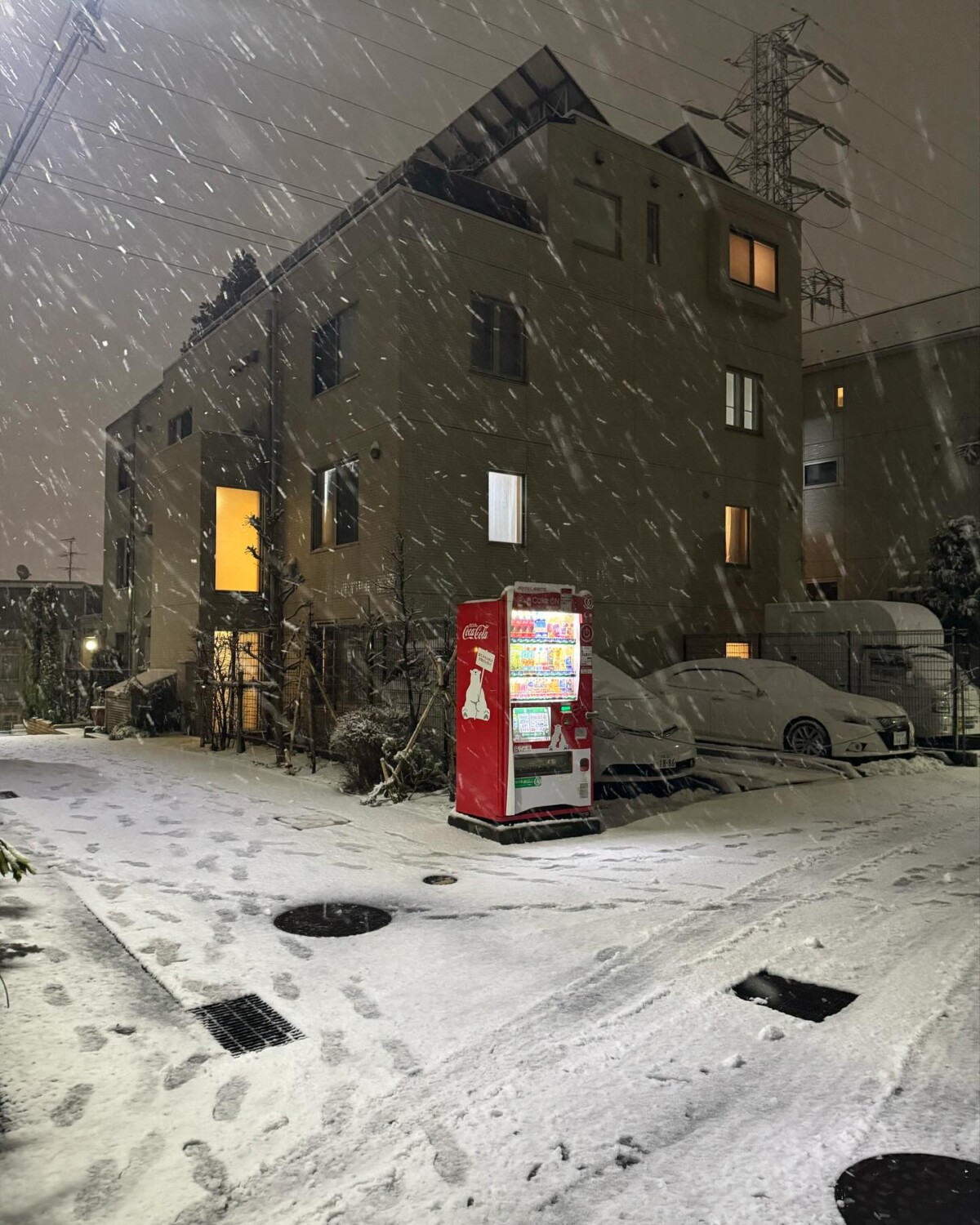 neve giappone tokyo