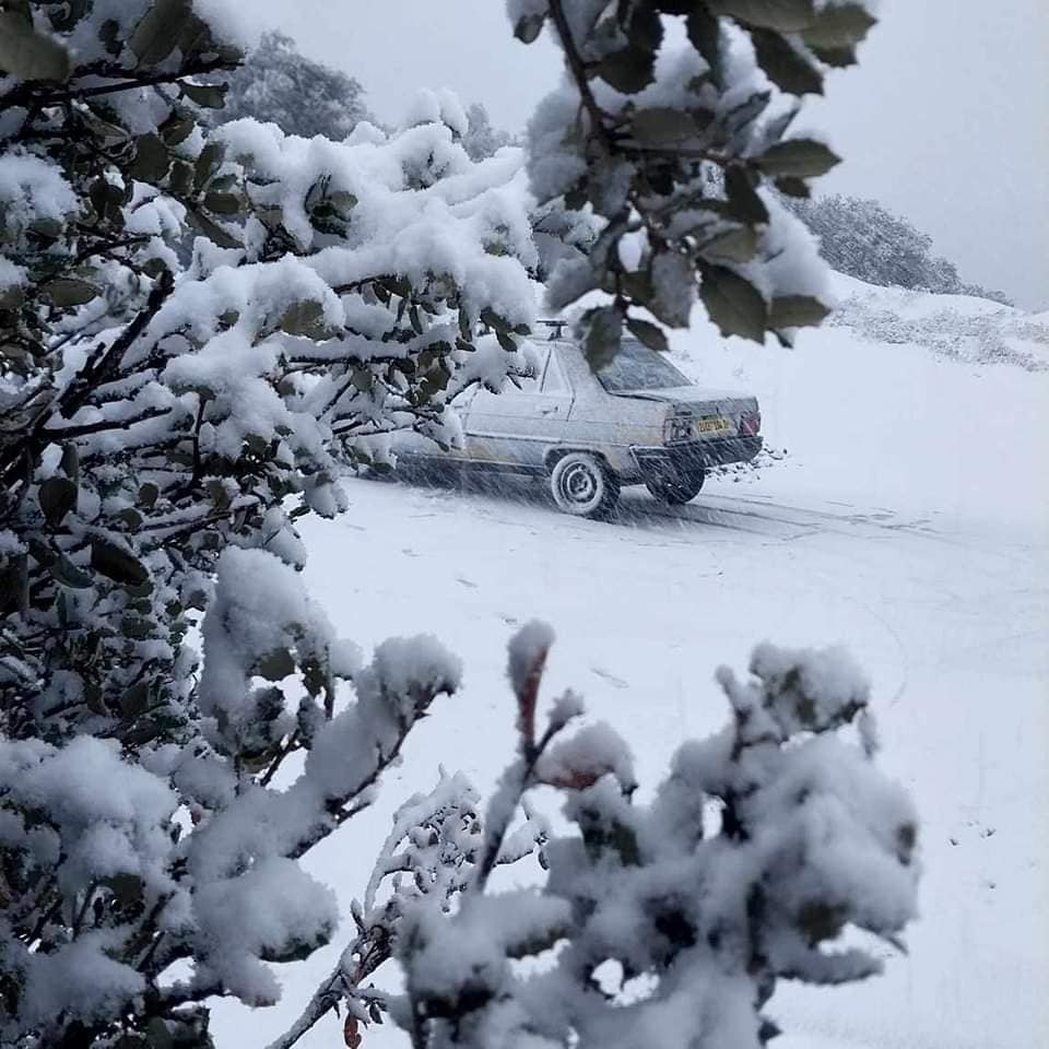 neve algeria