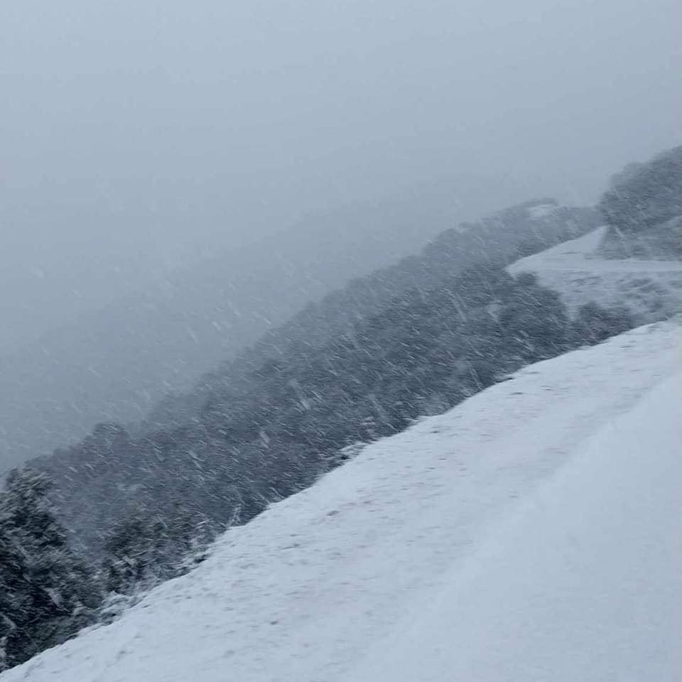 neve algeria