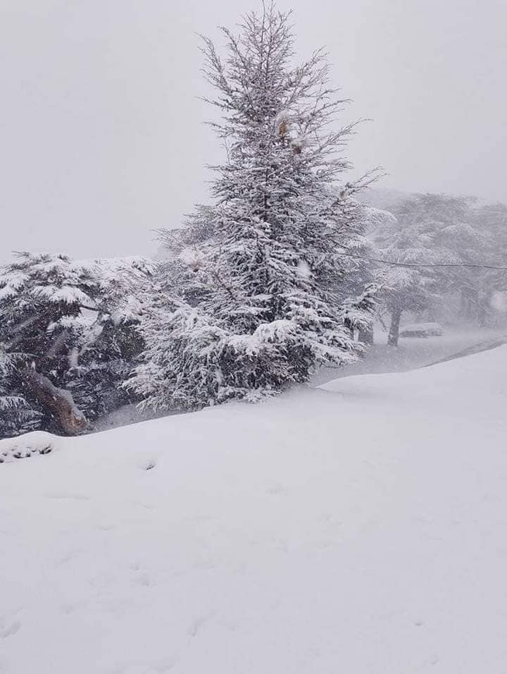 neve algeria