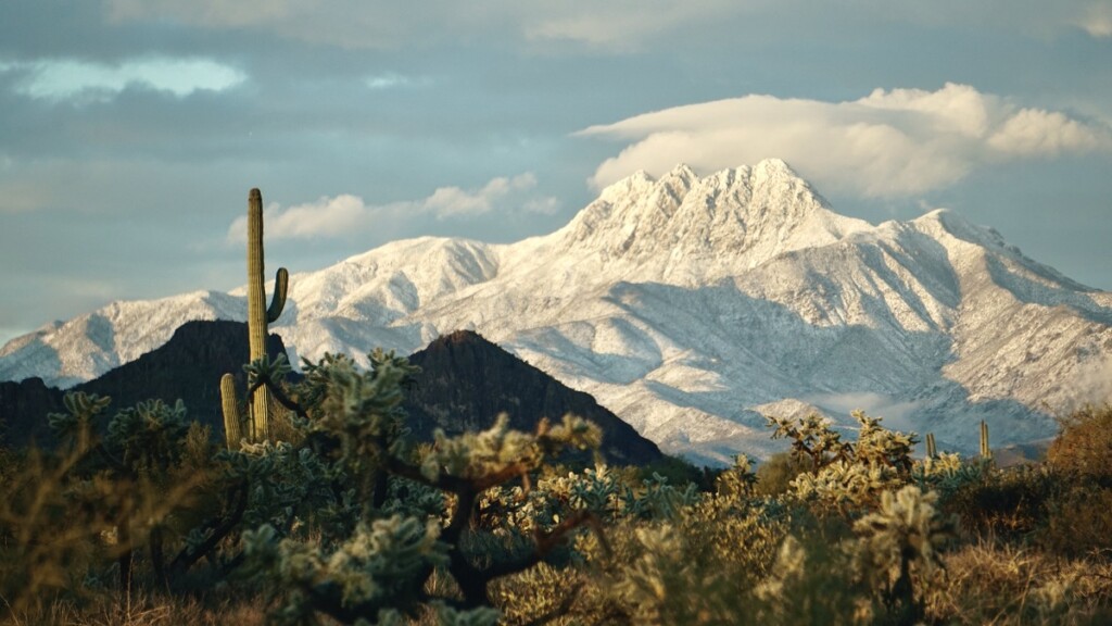 neve arizona