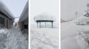 neve kashmir