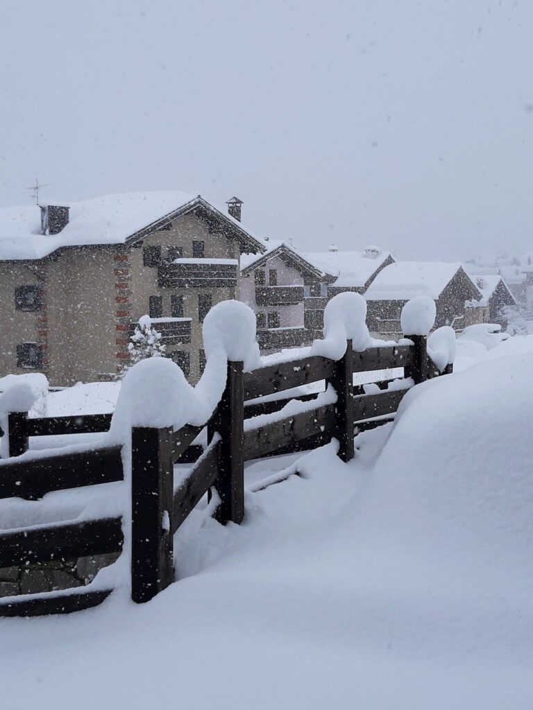 neve livigno