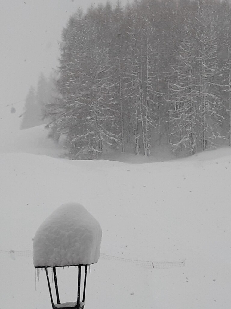 neve livigno