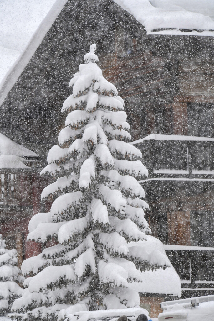 neve livigno