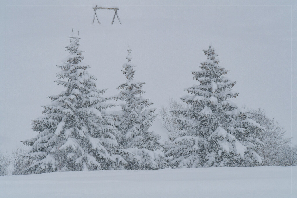 neve livigno