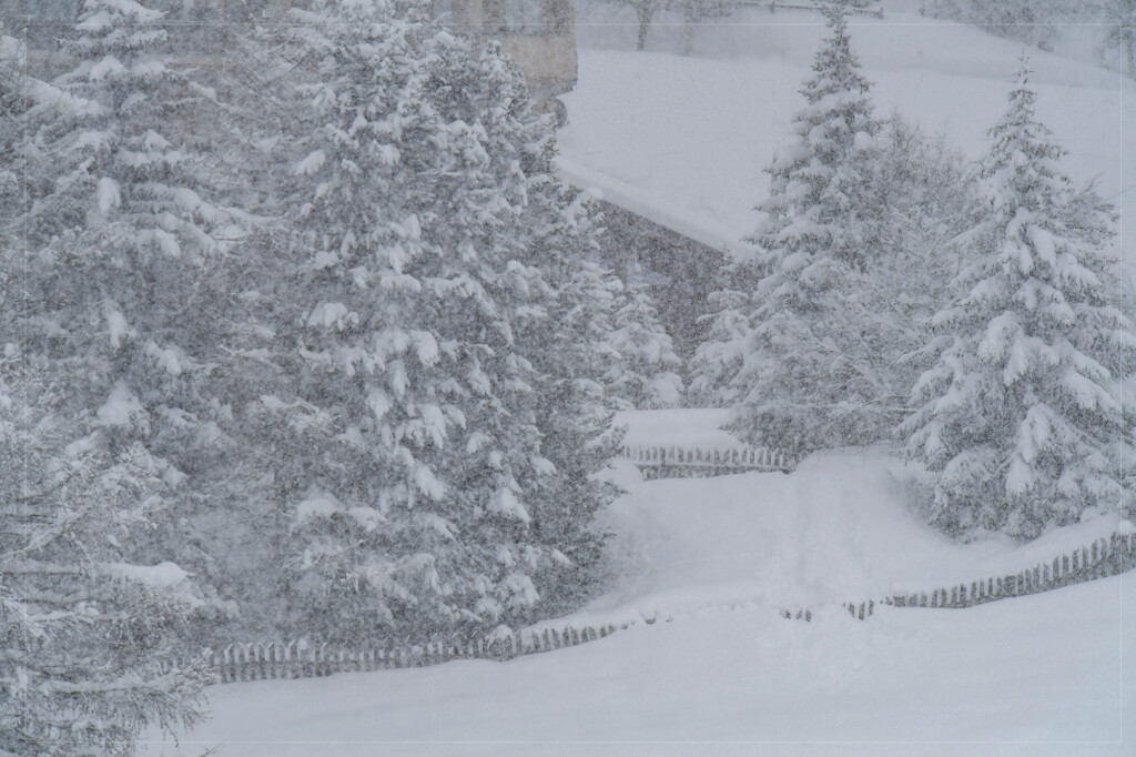 neve livigno