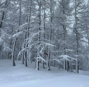 neve madesimo