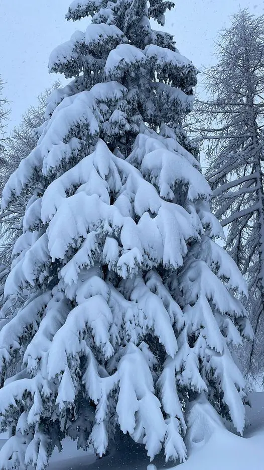 neve madesimo lombardia
