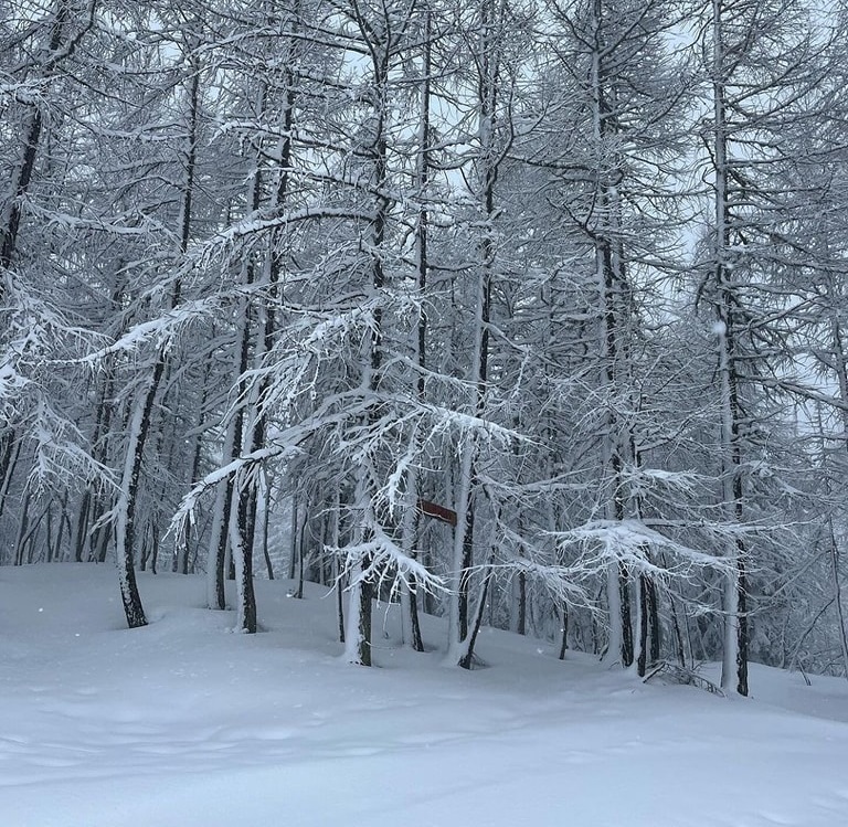 neve madesimo