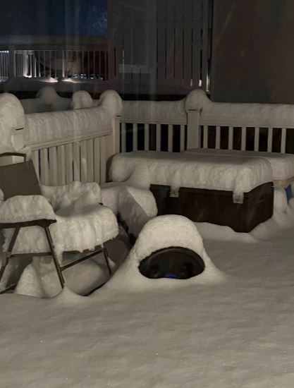 neve pennsylvania