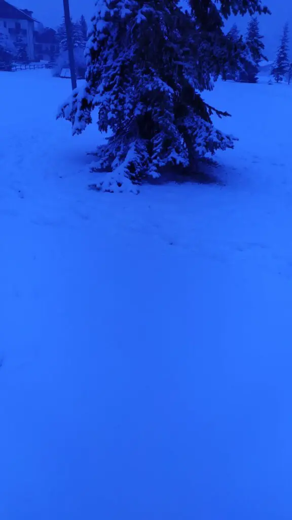 neve pragelato piemonte