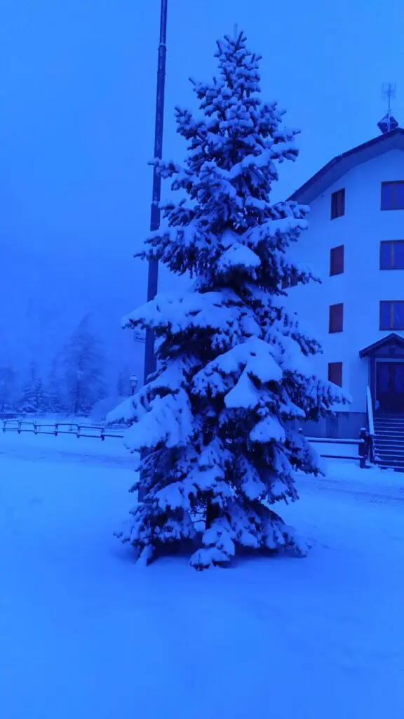 neve pragelato piemonte