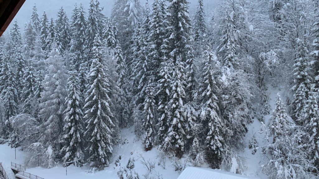 neve sappada friuli