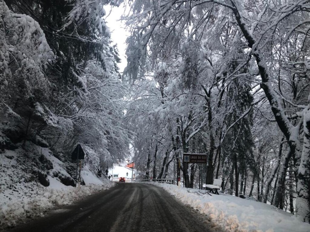 neve trentino