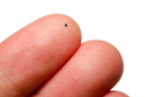raro meteorite sud italia