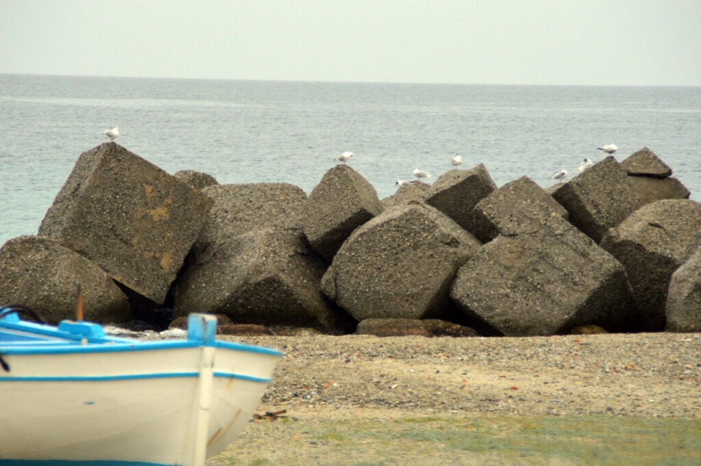 reggio calabria pioggia 25 febbraio 2024