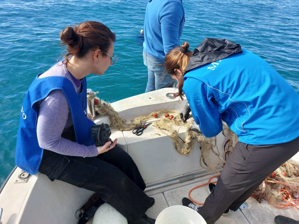 rete fantasma civitavecchia