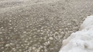 uova di ghiaccio lago erie