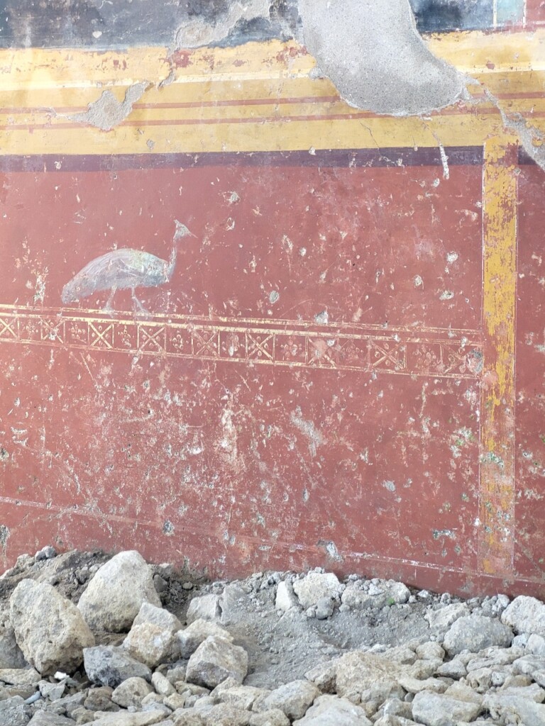 Pavone dall'affresco nell'atrio panificio Regio IX