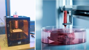 biostampante 3D tumori enea
