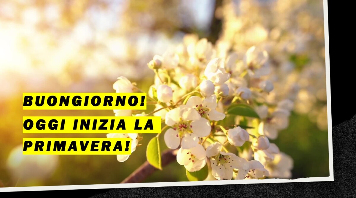 Buongiorno Primavera! Le immagini per un buon giorno primaverile