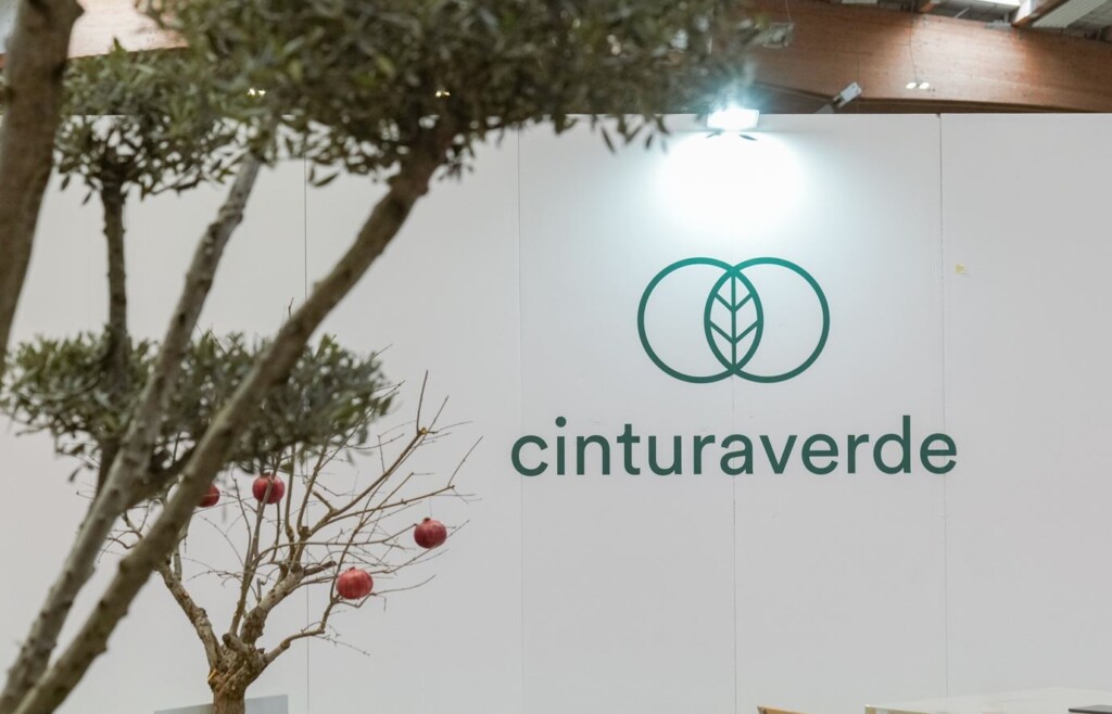 cintura verde