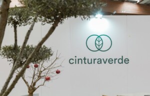 cintura verde