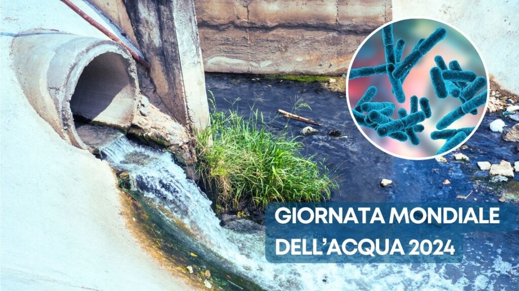 giornata mondiale acqua enea hera