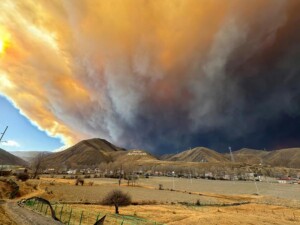 incendio cina foresta