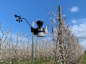 monitoraggio agronomico