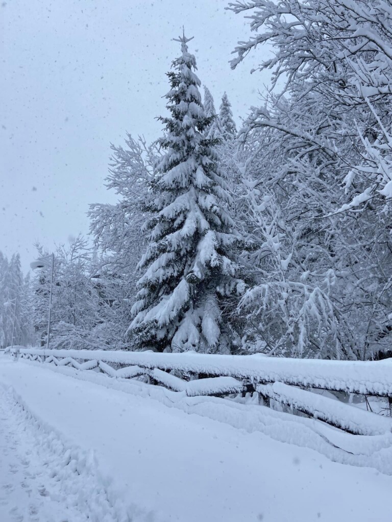 neve Chardonnay valle d'aosta