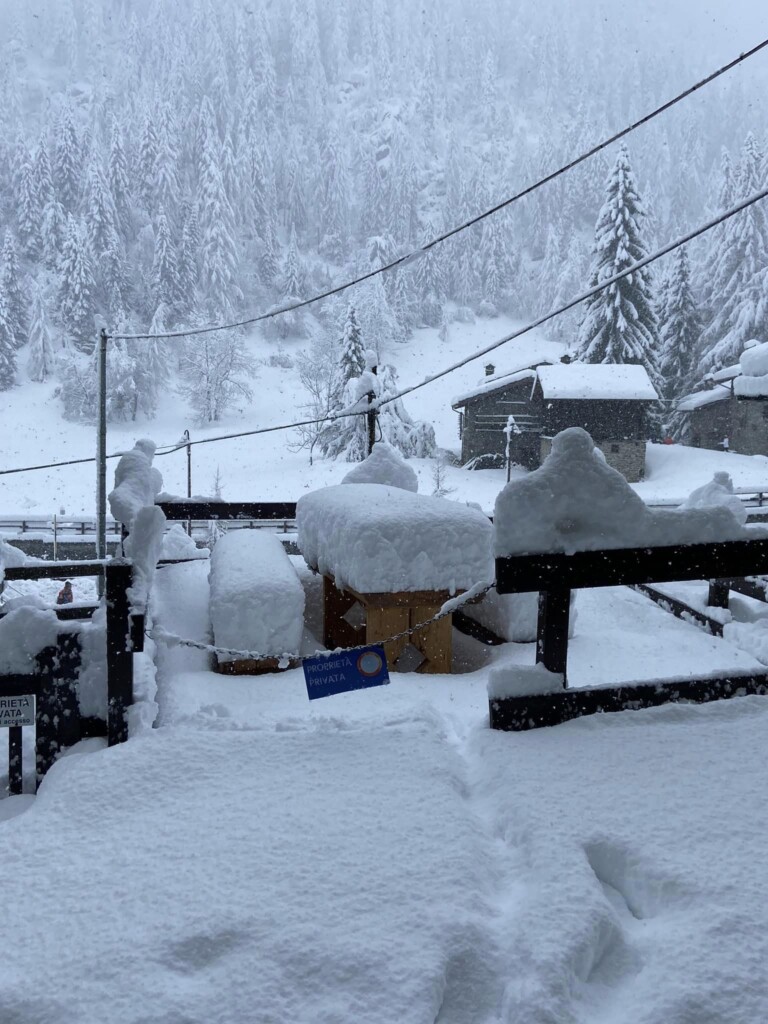 neve Chardonnay valle d'aosta