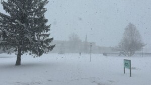 neve USA