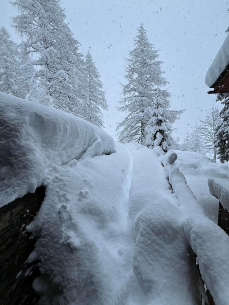 neve Valle di Gressoney valle d'aosta