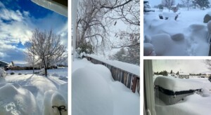neve california sierra nevada