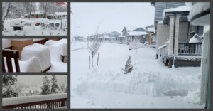 neve colorado usa
