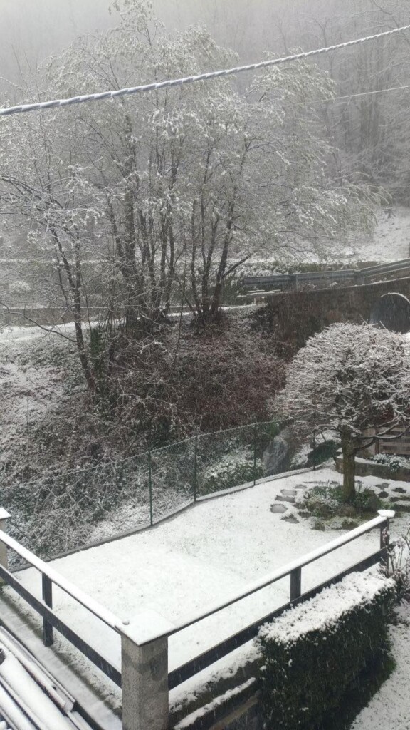 neve oggi piemonte