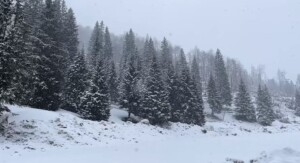 neve pasqua asiago