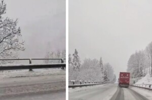 neve gran san bernardo
