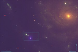 ritratto supernova