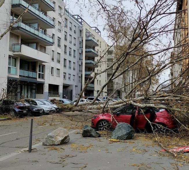 tempesta nelson francia